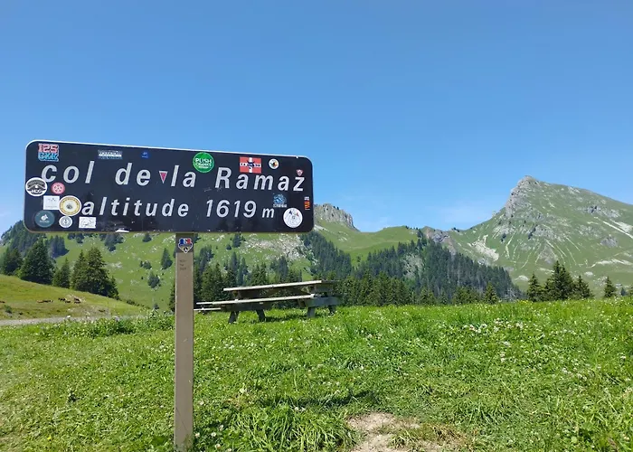 Cocon Alpin - Praz De Lys Sommand