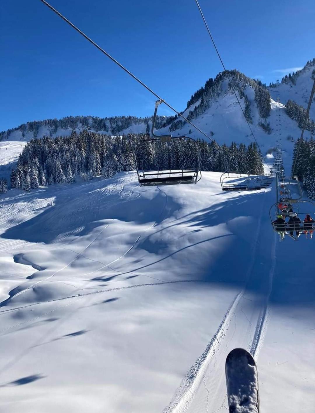 Apartment Cocon Alpin - Praz De Lys Sommand *
